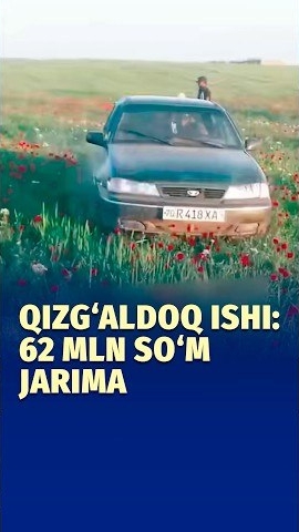 4cc772600f1682101299a3e52af6a18d