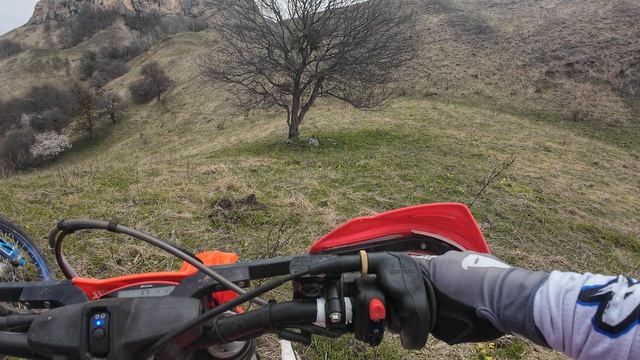 Псебай 2026 Шаханы начало - неберучка