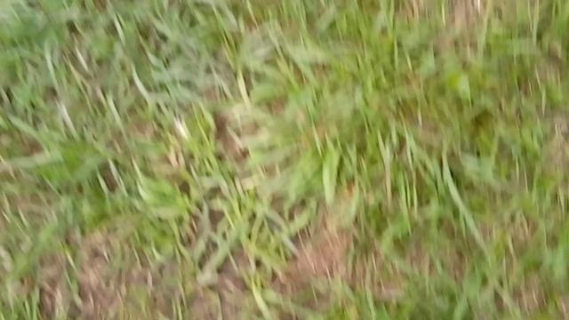 я на заброшено деревне 3.