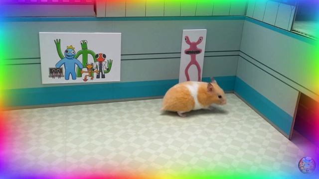 Мой хомяк выбирается из сада лабиринта! часть 2