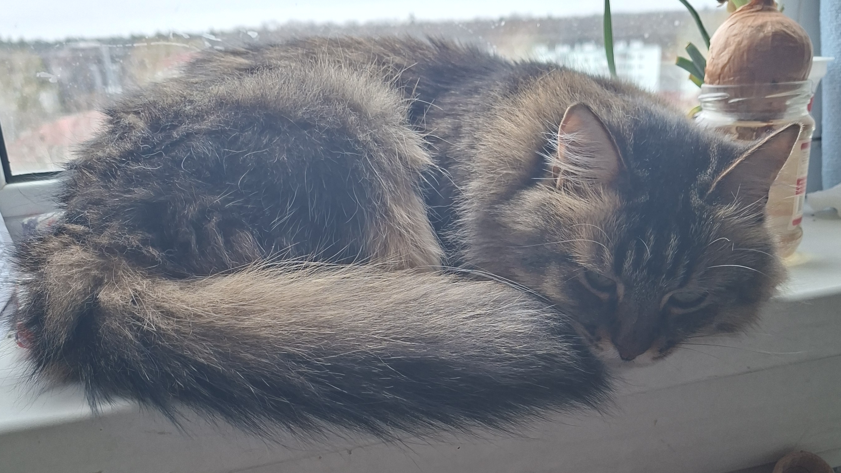 12 часов на улице