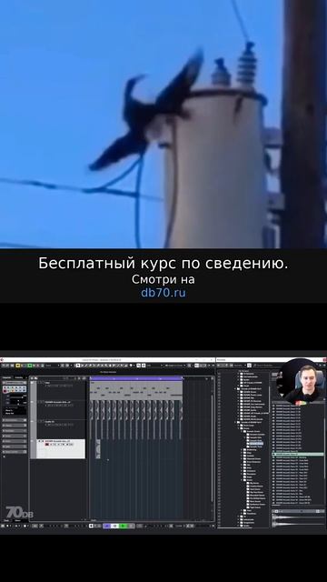 Заметка звукорежиссера №288. Аранжировка, сведение, мастеринг треков.