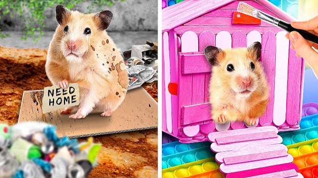 B03233addf6c5784dd913432a5d8c6ac