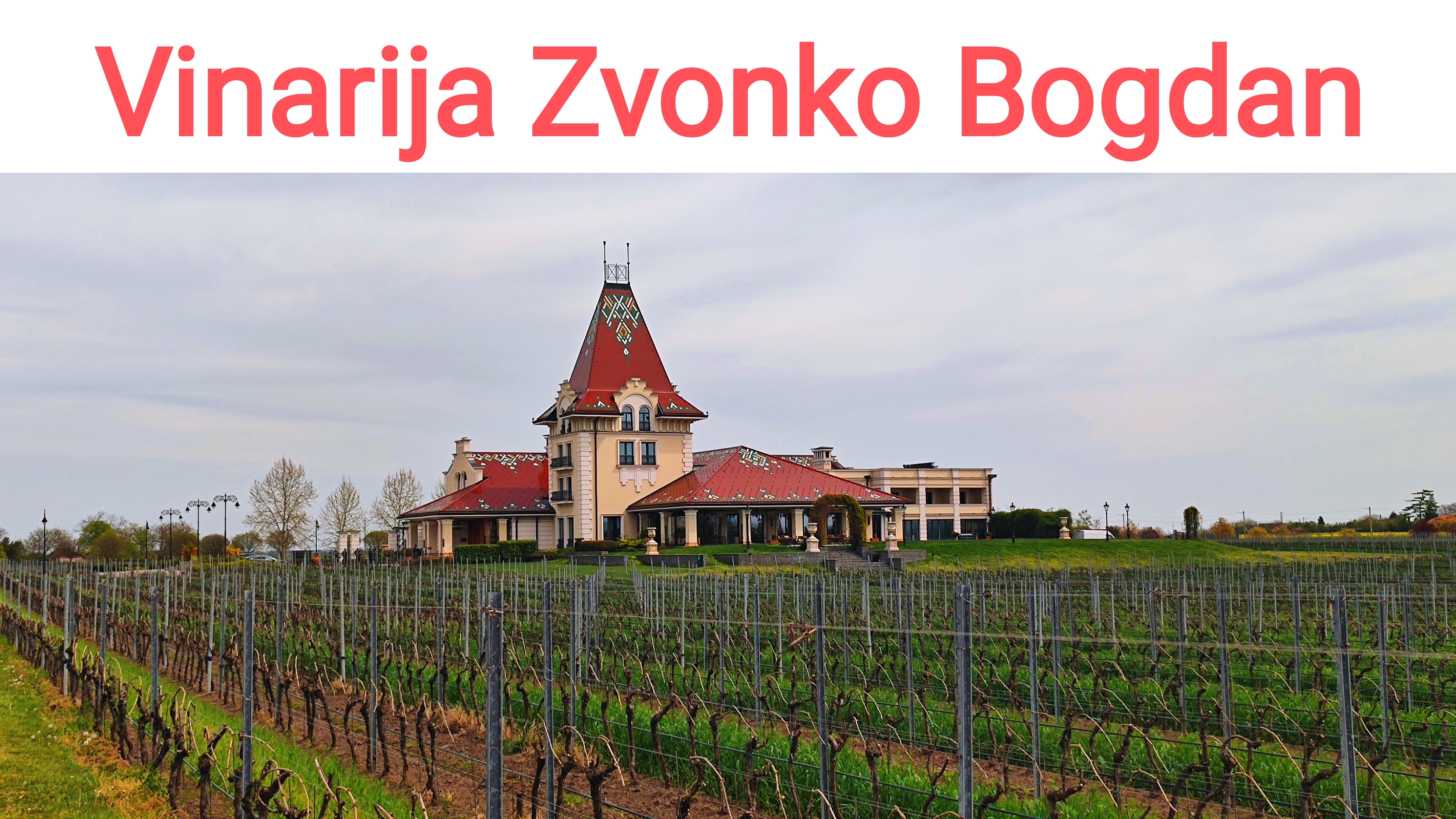 Палицкое озеро и Винодельня 