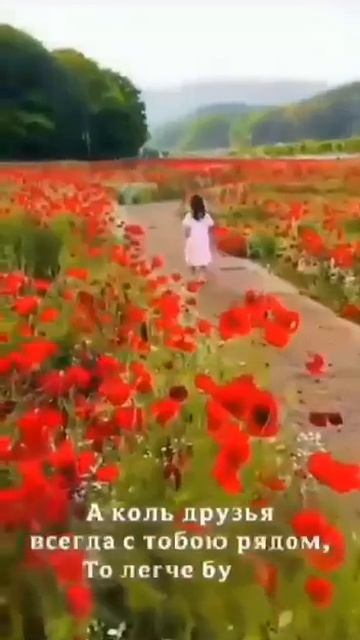 VID_20260420_202224_393.mp4