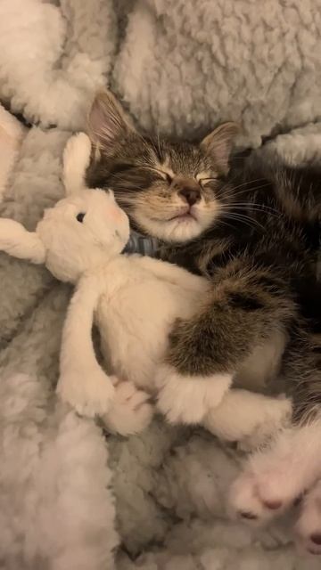 VID_20260420_125842_166.mp4