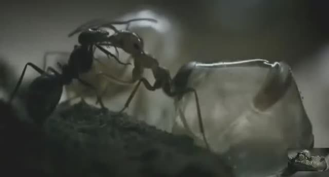 091edd425be3be04cffec16af50e0327