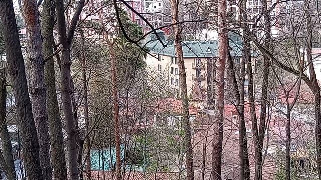 Многолетняя мусорная свалка в Курортной зоне Кисловодска! 17.04.2026 г. Возле санатория им. Горького