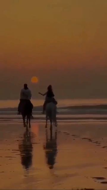 Пусть вам в жизни повезёт...