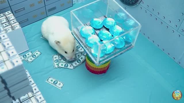 Хомячок сталкивается со свирепой акулой, убегая из лабиринта! часть 11