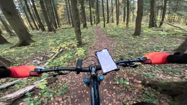 Лосиный остров. Трейлы. Осень