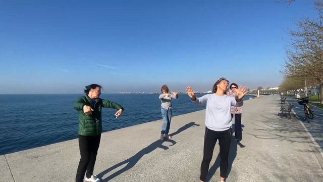 Баланс 4-х Стихий в Экспедиции МаЭД в Стамбуле, 20.04. МНШУ