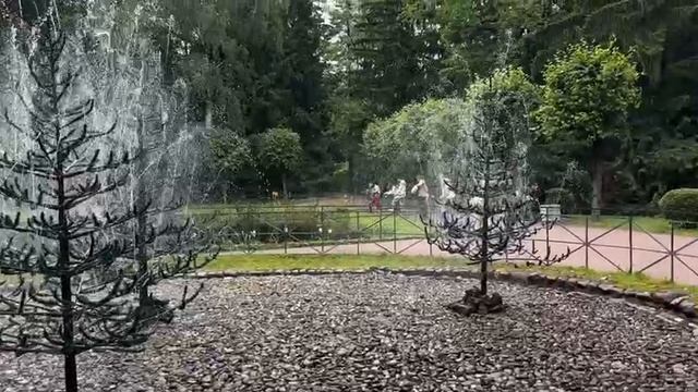 Cc77ff9dc2e2e29a7ac17587157f9e01