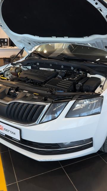 Продается SKODA Octavia 2017 /Авто с пробегом