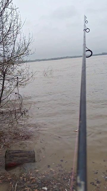 #природа #рыбалка