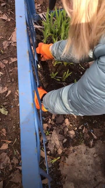 74e04f6fee630584f3222b0f5e5472ab