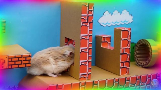 Мой хомяк выбирается из сада лабиринта! часть 4