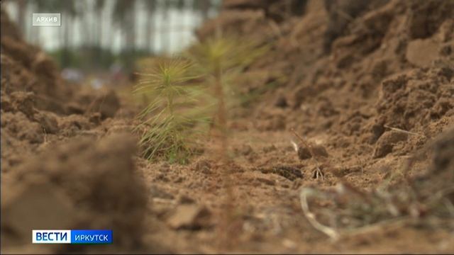 0f9aeda46c3023d0975d2d71943a4cbb