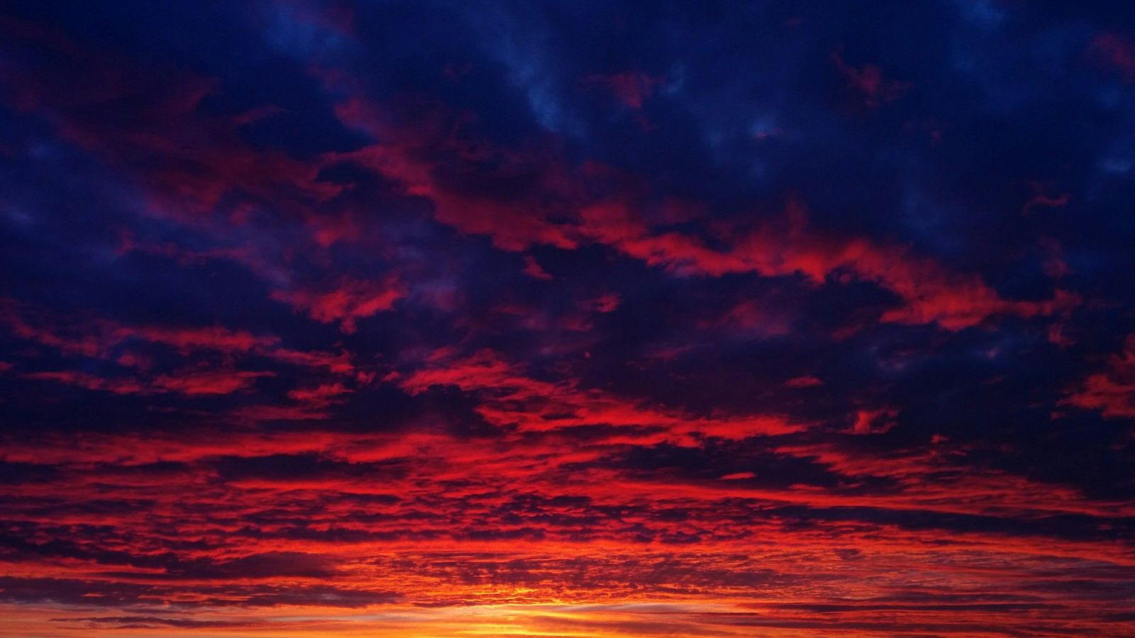 5f5d364b573d19f425df591bb8a15f99