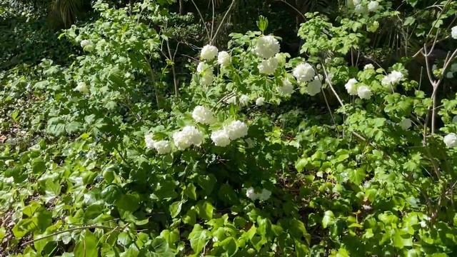 УЕХАЛИ В ГОРОД РЕУС. НЕОТЛОЖНОЕ ДЕЛО ТАМ . ПАРКИ