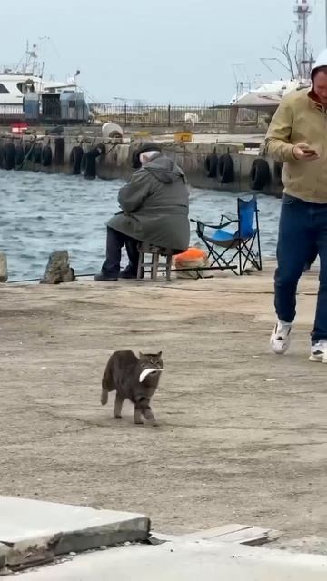 Дерзкая молниеносная кража