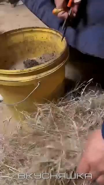 Клип сообщества Вкусняшка