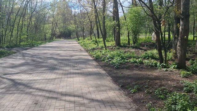 Как стать блогером на расслабоне / Влог 21-04-2026