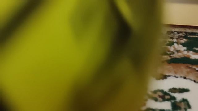 Валера воспитывает кошку-автомабильку🤣 История про меня и его