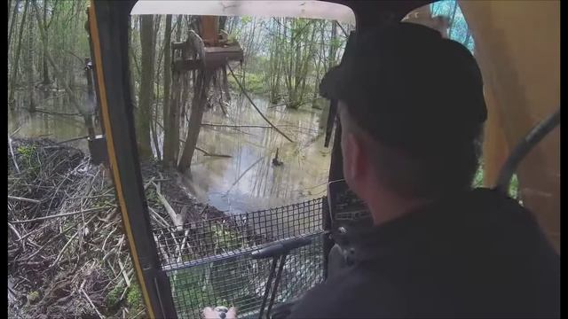 1a5f1ba4d24fa690242e79bb1d7031b5