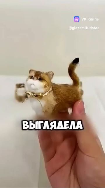 Art from cats hair 🐈