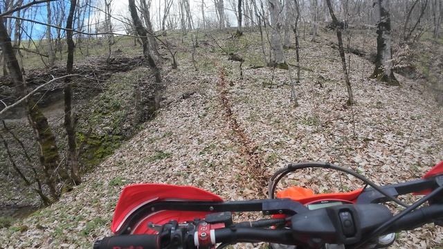 Псебай 2026 Шаханы чеснок