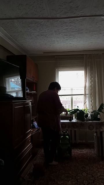 Проснулись рано на пенсии в деревне