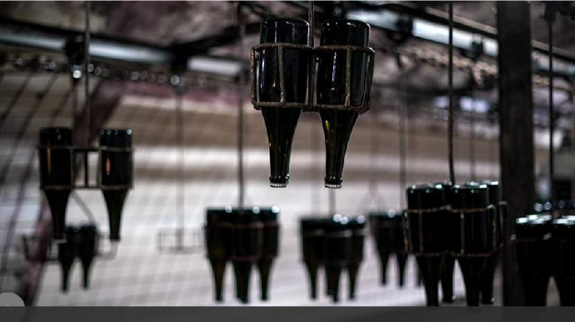 Эксперт рассказала о создании в РФ нормативной базы для безалкогольного вина