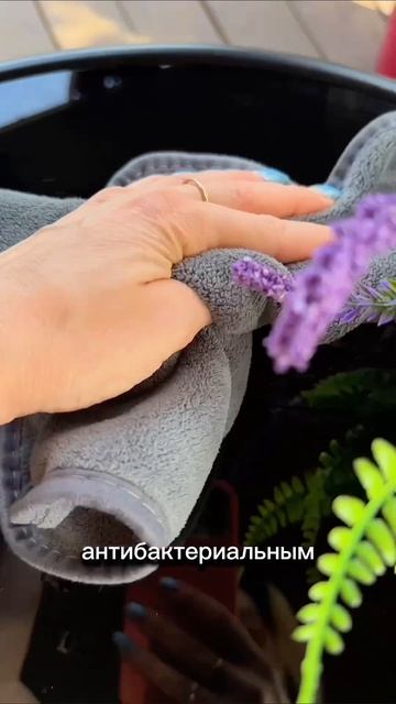 421817669 салфетки
250149225 Губки