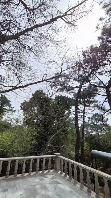 У Голгофы -Звёздный Храм, Сонастройка и ОЭС на Бейкосе, 18.04, Турция. Мир Универсологии