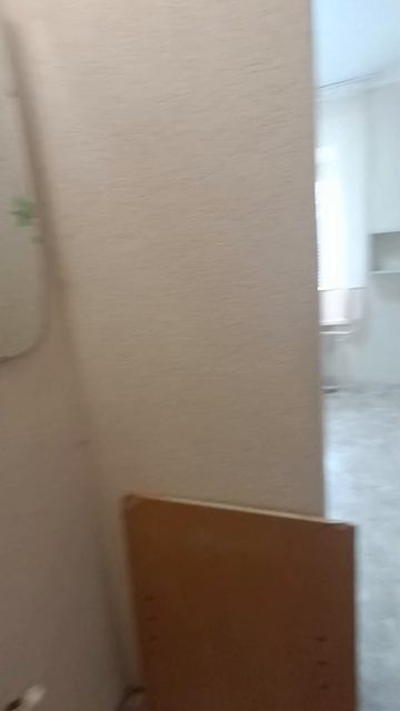 InShot_20260417_213143920