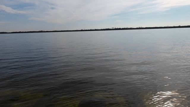 Набережная Высоцкого 21 апреля 2026 разлив Волги