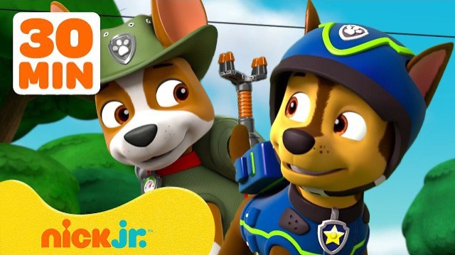 Щенячий патруль . Дружеские приключения с Чейзом и Трекером