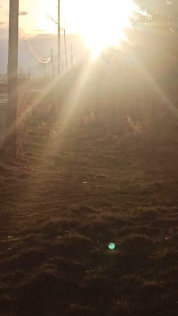 Доброго вечера друзья! 🤗.mp4