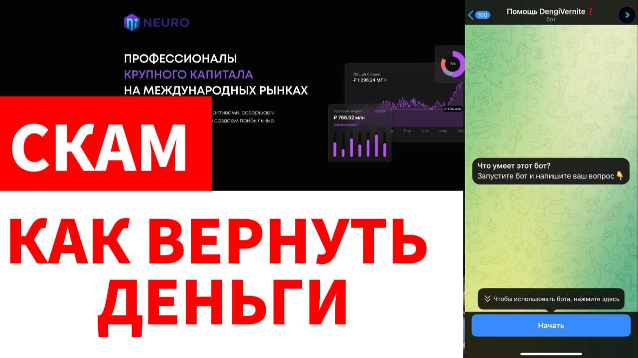 Neuro (neeuroo.com) обзор, отзывы. Развод?