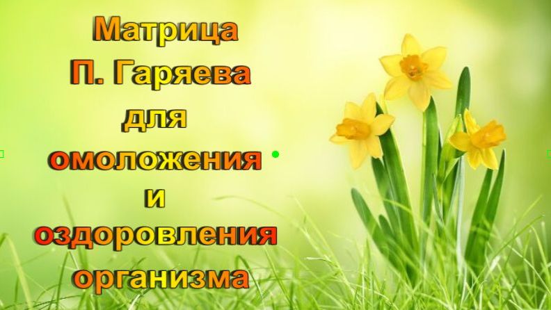Универсальная матрица П. Гаряева для оздоровления и омоложения вашего организма