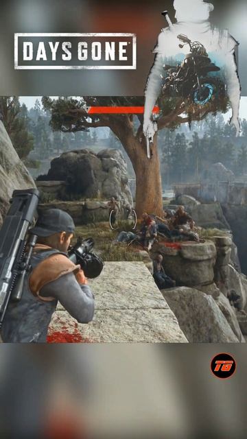 257d90f32c5ea65d62972deb8c306898