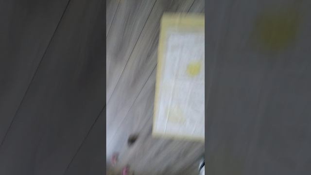 2952.mp4