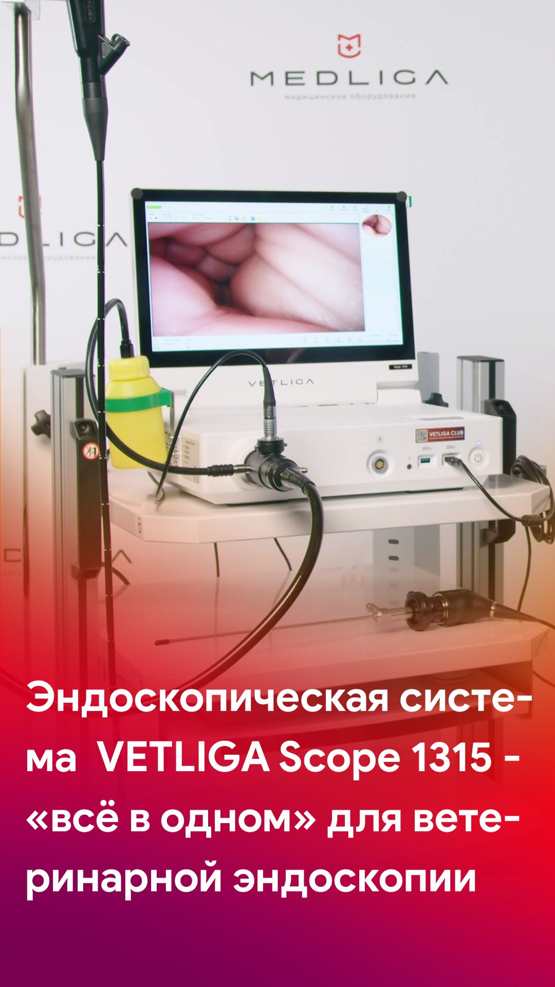 Система «всё в одном» для ветеринарной эндоскопии - VETLIGA Scope 1315