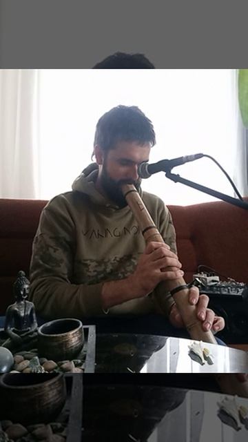 060 Кётаку 73см соль диез минор 
Цена 3500
Хорошая широкая Кётаку, большая растяжка па