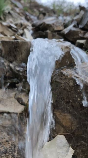 А у нас в горах снова выпал снег. Внизу цветы пахнут, а наверху туман и снежок