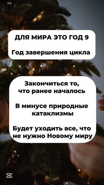 5 января 2025 г.