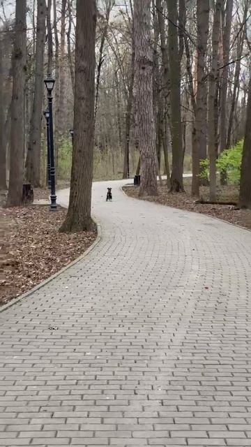 Выдержка и команда ко-мне.