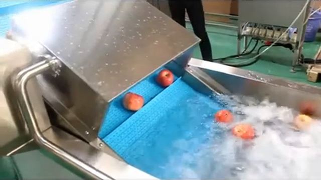 Машина для деликатной мойки овощей Вега/Vega Del Wash F30