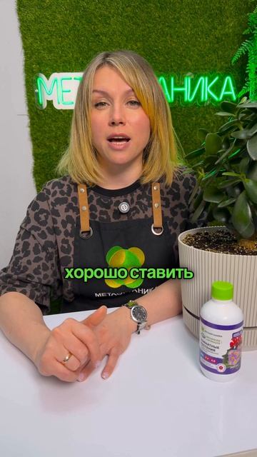 Правильное соседство — это не про эстетику, а про условия.